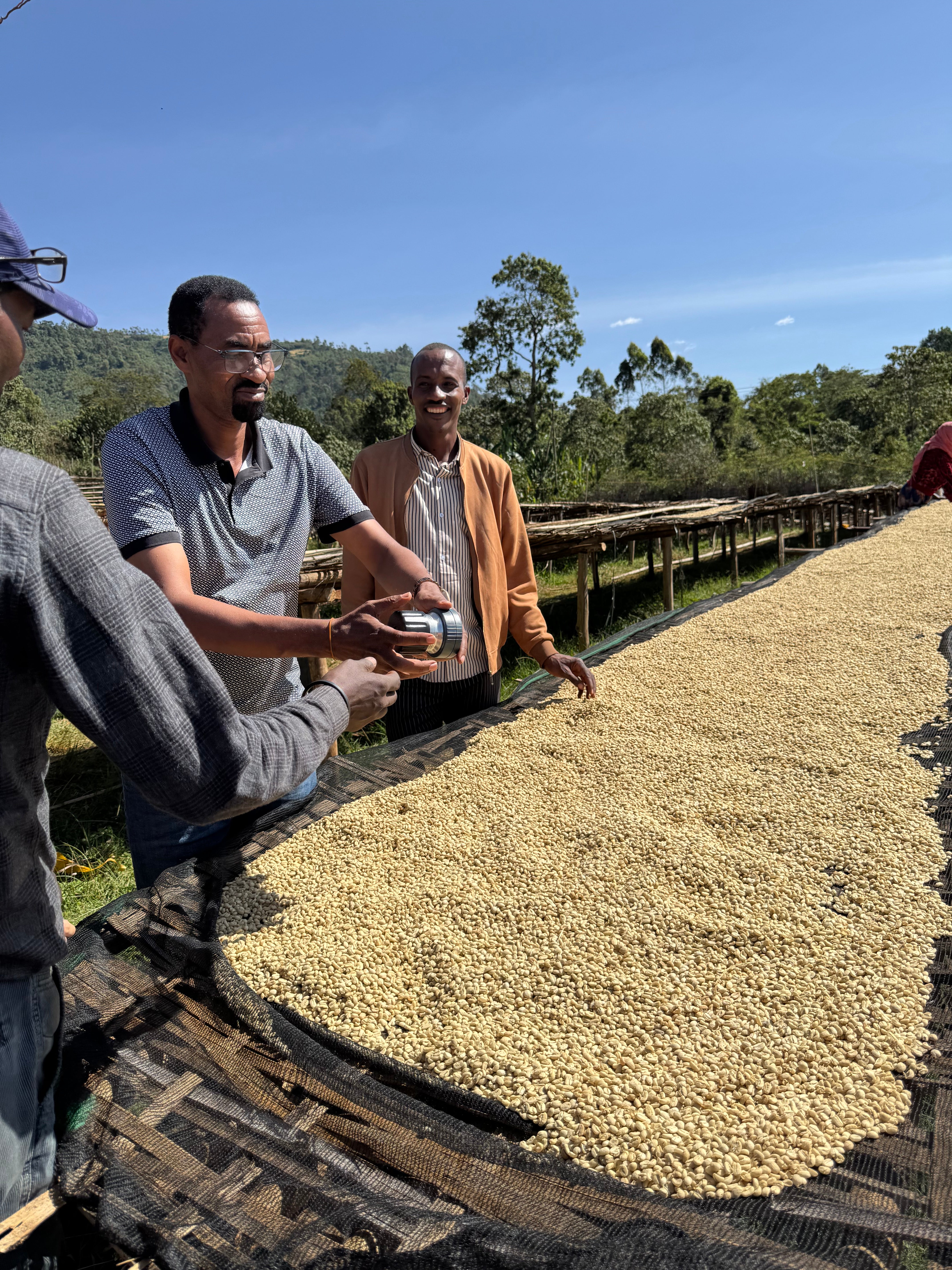 SHANTAWENE NATURAL, ETHIOPIA - OMNI ROAST