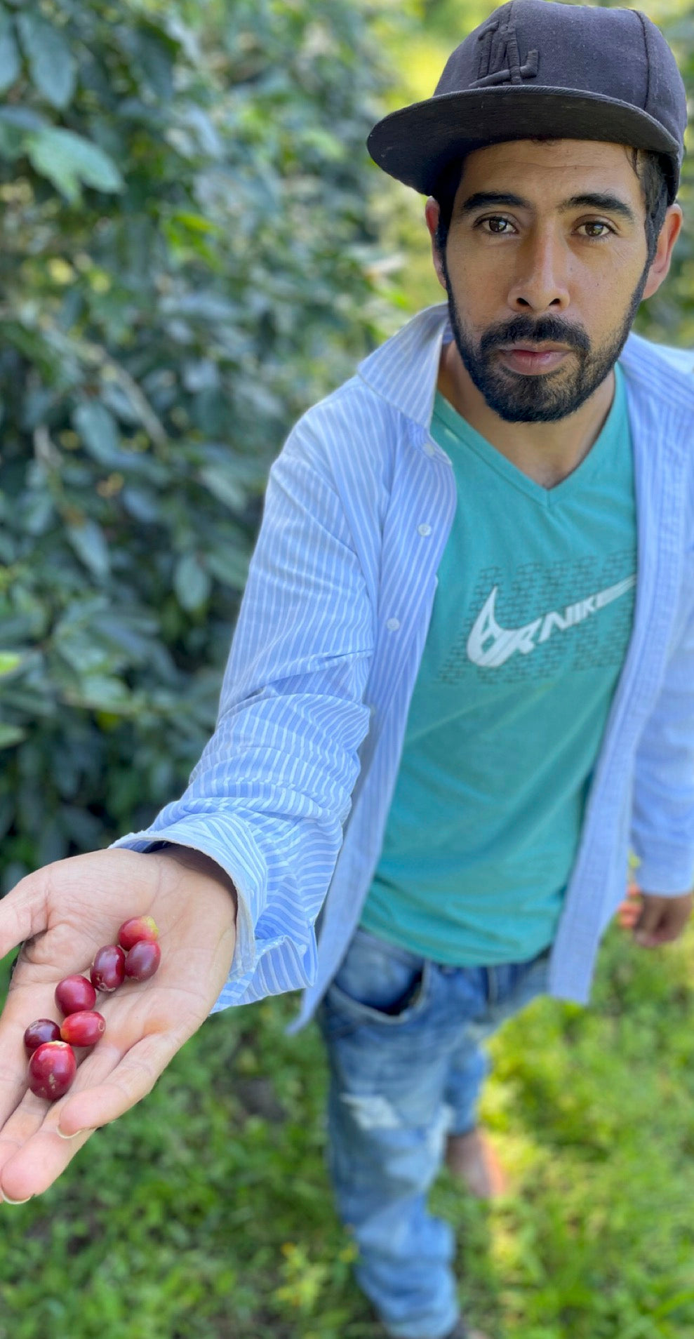 EL CALICHE, LEODAN BAUTISTA, HONDURAS - FILTER COFFEE