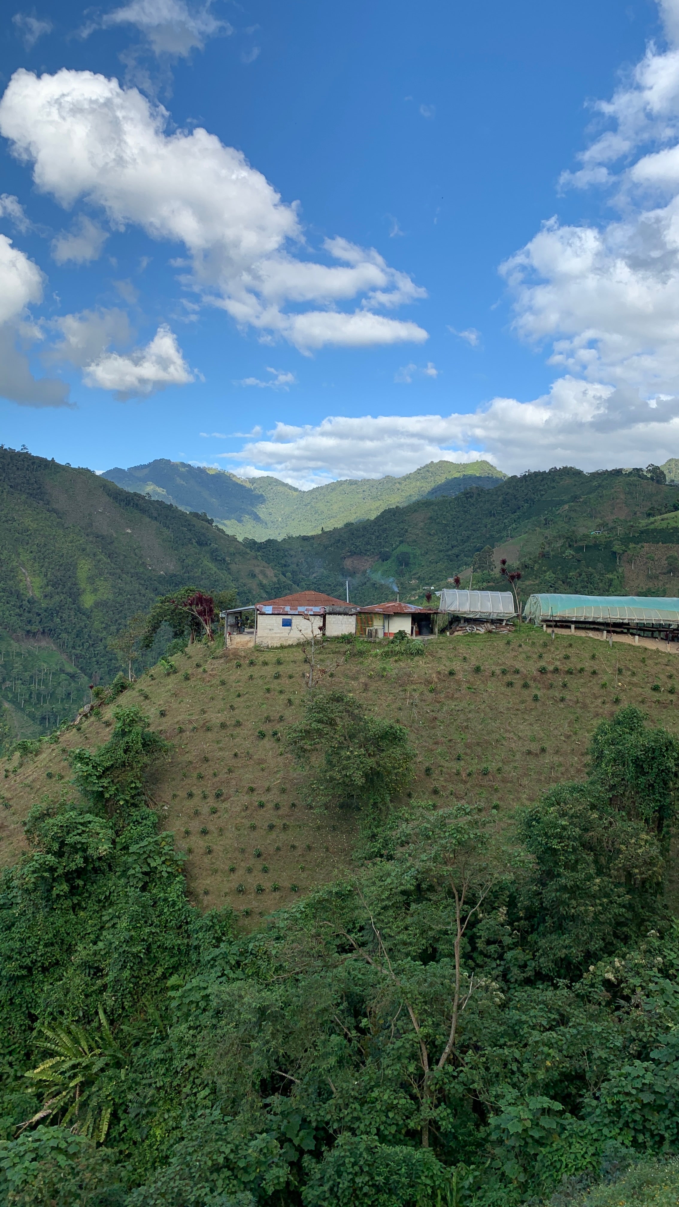 EL RECREO, COLOMBIA - FILTER COFFEE