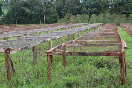 KARINGA AB, KENYA -  ESPRESSO / DARK FILTER COFFEE