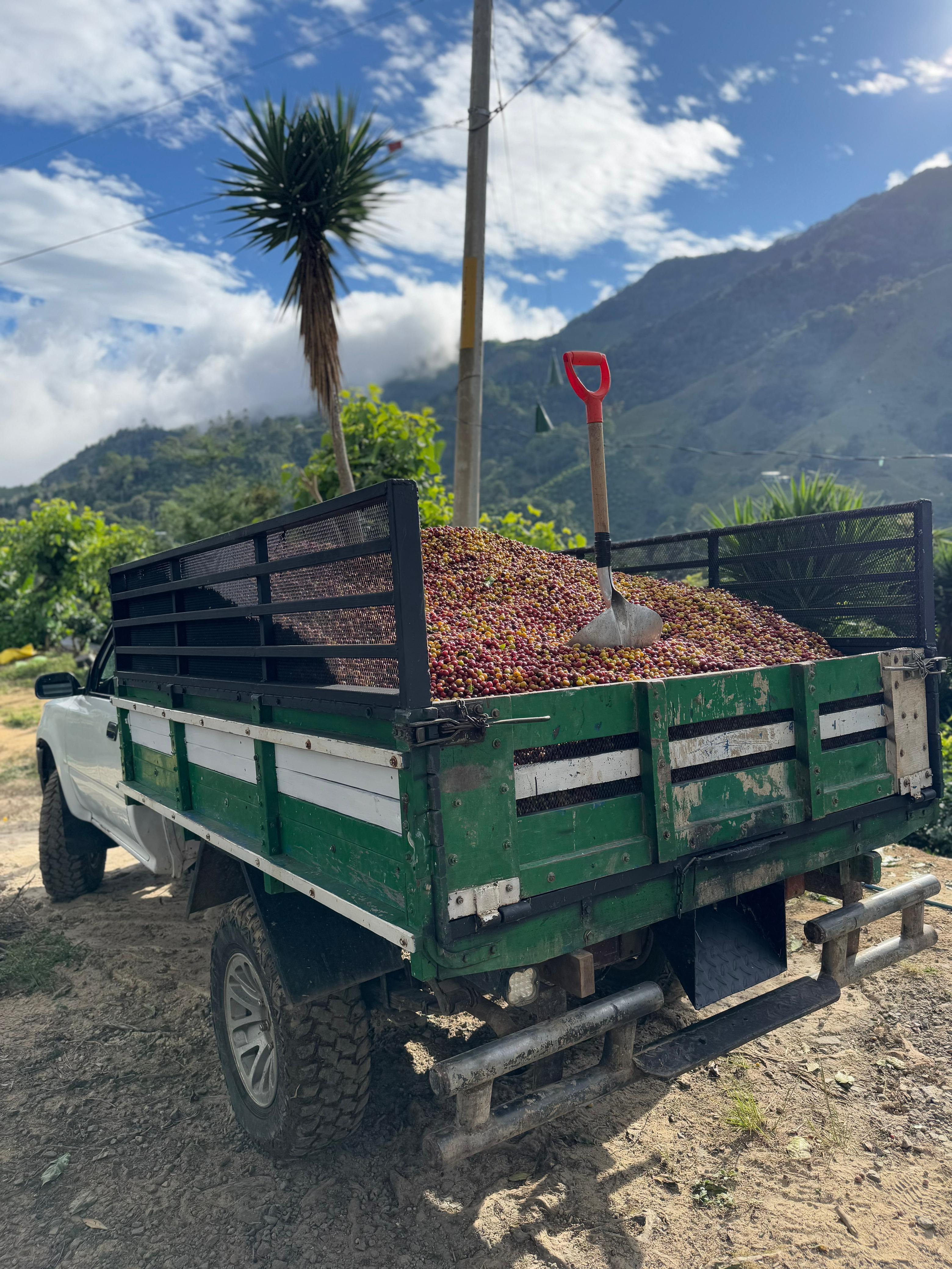 LA CATARATA HONEY, COSTA RICA -  ESPRESSO / TUMMA SUODATINKAHVI